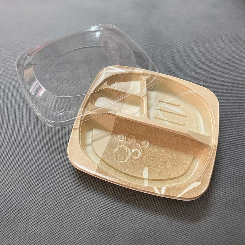 Environmentally friendly square 4 grid fast food box